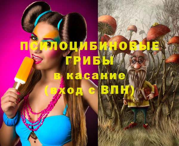 синтетический гашиш Алексеевка
