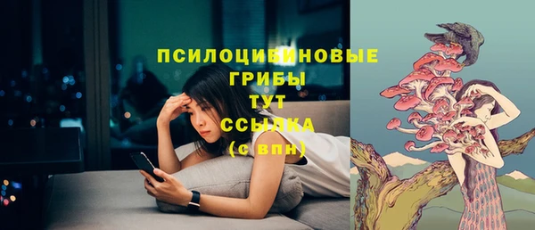 индика Покровск