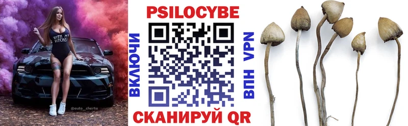 Псилоцибиновые грибы мухоморы  Сухой Лог 